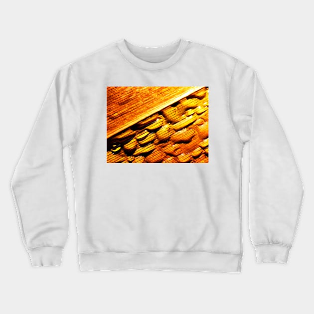 Wet and Dry Crewneck Sweatshirt by PictureNZ